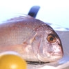 Peixe fresco: Eles não fizeram feio...