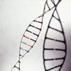 Exames de DNA: código genético só seu