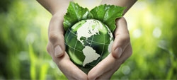 Dia Mundial do Meio Ambiente