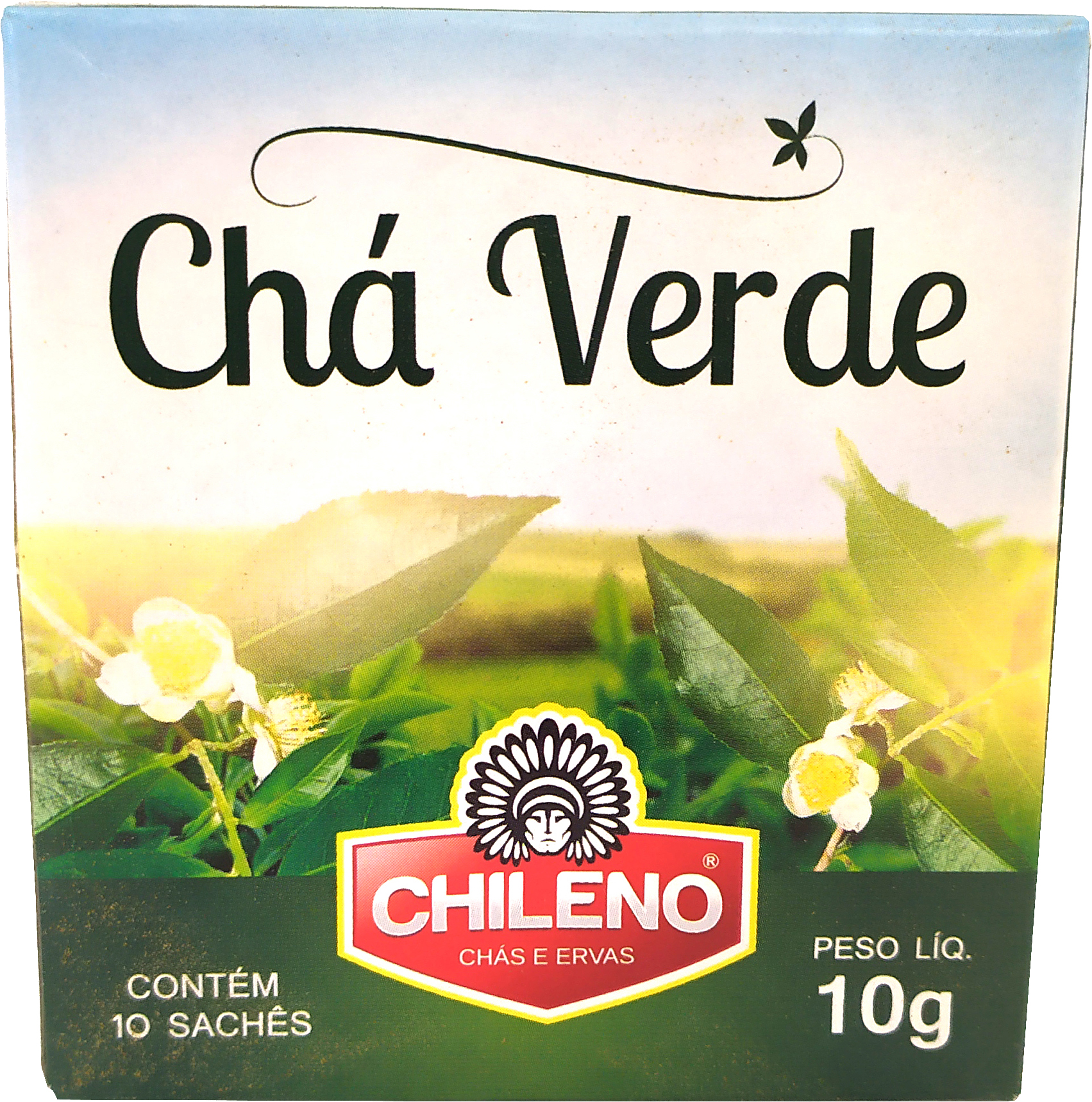 CHILENO CHÁ VERDE